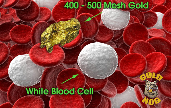 size of placer gold mesh size