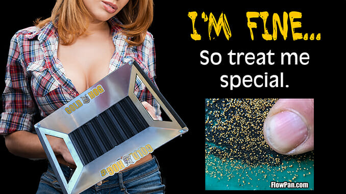 FINE-GOLD-SLUICE